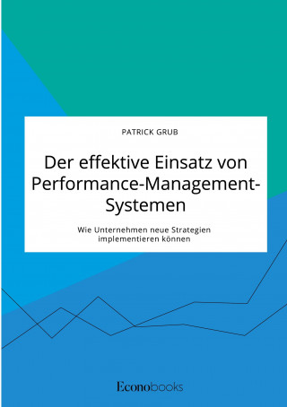 effektive Einsatz von Performance-Management-Systemen. Wie Unternehmen neue Strategien implementieren koennen