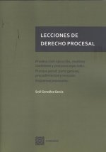 LECCIONES DERECHO PROCESAL PROCESO CIVIL EJECUCION
