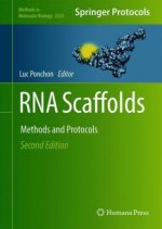 RNA Scaffolds