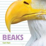 Whose Is It? Beaks