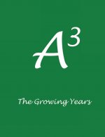 A3