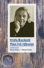 Víno tvé výborné /rozhovory Štěpán Hájek a Michal Plzák/