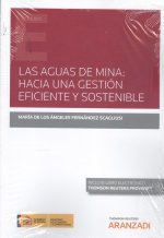 AGUAS DE MINA HACIA UNA GESTION EFICIENTE Y SOSTENIBLE DUO
