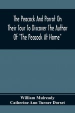Peacock And Parrot On Their Tour To Discover The Author Of The Peacock At Home