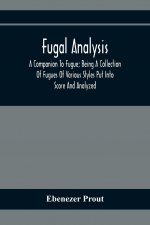 Fugal Analysis