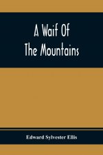 Waif Of The Mountains