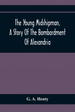Young Midshipman, A Story Of The Bombardment Of Alexandria