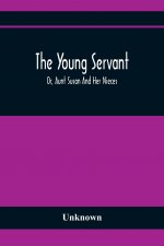 Young Servant; Or, Aunt Susan And Her Nieces