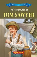 Adventure of Tom Sawyer