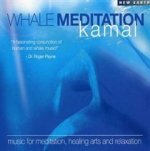 Whale Meditation