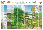 La nature au fil des mois