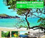 OISEAUX DES ANTILLES