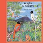 JUNGLES DE SUMATRA CD AUDIO AMBIANCES NATURELLES