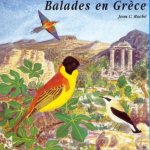 BALADES EN GRECE SUR CD AUDIO AMBIANCES NATURELLES