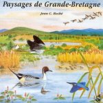 PAYSAGES DE GRANDE BRETAGNE SUR CD AUDIO AMBIANCES NATURELLES