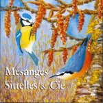 MESANGES SITTELLES ET CIE SUR CD AUDIO GUIDE ORNITHOLOGIQUE