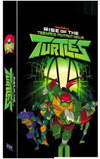 DESTIN DES TORTUES NINJA - 2 DVD