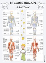 LE CORPS HUMAIN AVEC LE PETIT PRINCE - POSTER