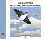 ALOUETTES LES PLUS BEAUX CHANTS