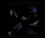 OISEAUX DU MAGHREB