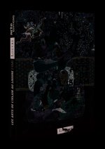 LES ARTS DE L'ISLAM AU LOUVRE - 2 DVD