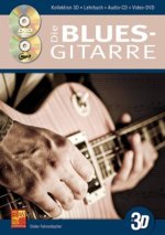 DIETER FEHRENBACHER: DIE BLUES-GITARRE IN 3D (BUCH/CD/DVD) +DVD