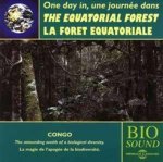 UNE JOURNEE DANS LA FORET EQUATORIALE (PIERRE HUGUET)