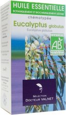 Eucalyptus Globulus