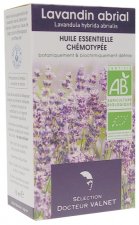 Lavandin Abrial - Lavandula hybrida abrialis
