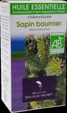 Sapin Baumier