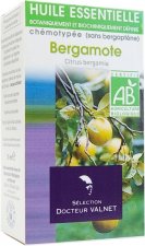 Bergamote - Citrus bergamia
