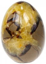 Oeuf Septaria Madagascar - 7 à 8 cm
