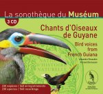 Chants d'oiseaux de Guyane (coffret 3 CD+LIVRET)