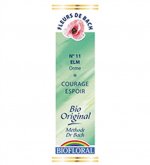 Fleurs de Bach Bio N°11 Elm - 20ml