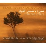 TRANSCONTINENTAL SHAJARA / YANN GAEL PONCET