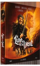 LION ET  VENT
