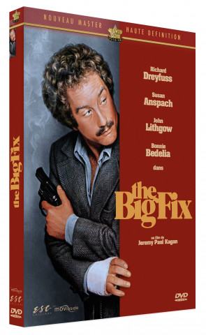 THE BIG FIX