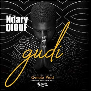 GUDI
