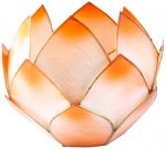 Lotus Crépuscule - Mandarine