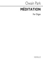 OWAIN PARK: MEDITATION