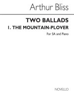 BLISS: MOUNTAIN PLOVER CHANT