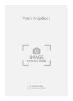 FRANCK PANIS ANGELICUS ACCORDEON (4 OU 5) CONTREBASSE ET BATTERIE