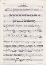 JOHN MCCABE: PILGRIM SEXTET FOR STRINGS (PARTS)