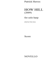 PATRICK HAWES: HOW HILL