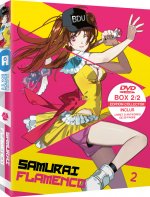 Samurai Flamenco - BOX 2/2 - Edition Collector DVD