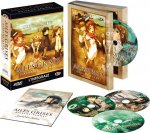 AILES GRISES HAIBANE RENMEI - INTEGRALE - EDITION GOLD - COFFRET DVD + LIVRET