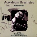Acordeon Brasileiro