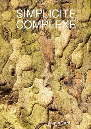 Simplicité complexe