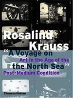 A Voyage On The North Sea Rosalind Kraus /anglais
