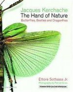 THE HAND OF NATURE